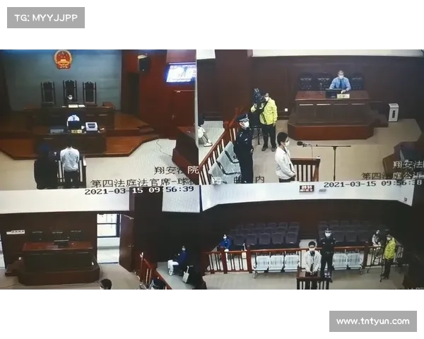 浣熊信息盗窃头目在美国法庭认罪 媒体