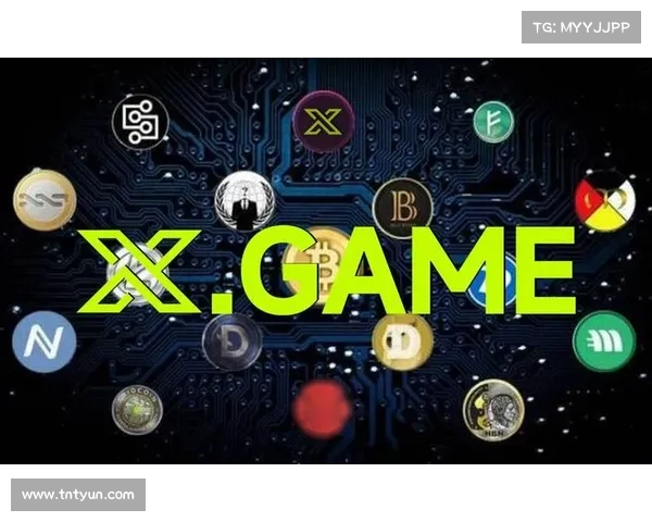 那个新出的 X 加密货币？这是个诈骗。