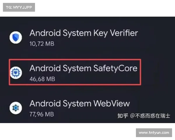 第三方 Cookie 在谷歌更改隐私计划后仍将存在 媒体